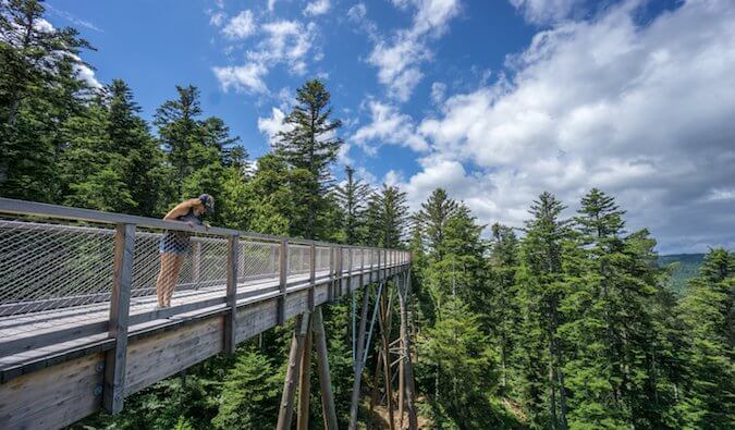 Woman standing on a bridge in a forrest looking down