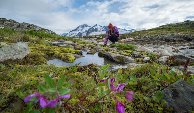 girl in Alaska crouched down touching a rock by a pool of water flowers in the foreground and snowcapped mountains in the background